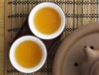 苦蕎茶與梔子花可以泡茶嗎？