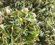 臨沂特產(chǎn)送人必買(mǎi)清單？