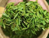 茶樹產(chǎn)量高嗎？一畝產(chǎn)多少斤？