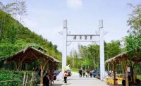 5月12日：徒步貢茶古道，天然氧吧，綠色之旅